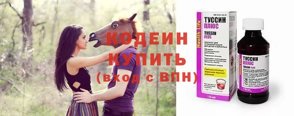шишки Верхний Тагил
