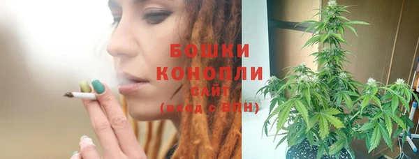 бошки Верея