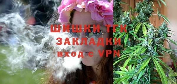 шишки Верхний Тагил
