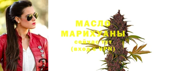 дмт Бородино