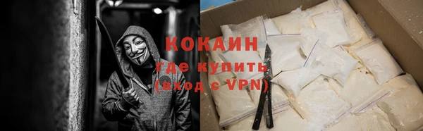шишки Верхний Тагил