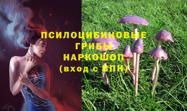 шишки Верхний Тагил