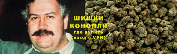 шишки Верхний Тагил