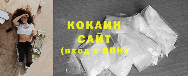 шишки Верхний Тагил