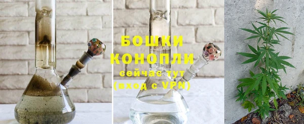 бошки Верея